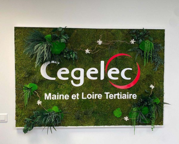 CEGELEC - ANGERS